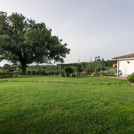 Agriturismo Il Poggio Vetralla Extérieur photo