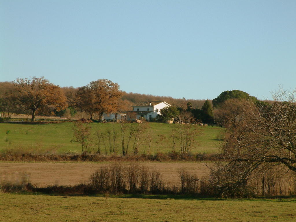 Agriturismo Il Poggio Vetralla Extérieur photo