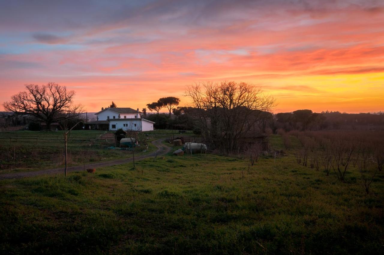 Agriturismo Il Poggio Vetralla Extérieur photo