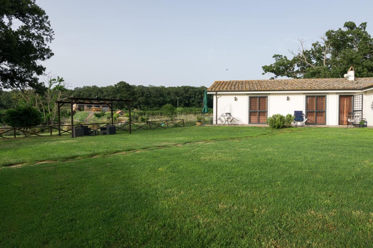 Agriturismo Il Poggio Vetralla Extérieur photo
