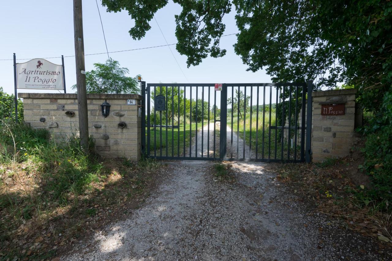 Agriturismo Il Poggio Vetralla Extérieur photo