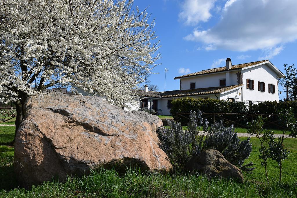 Agriturismo Il Poggio Vetralla Extérieur photo
